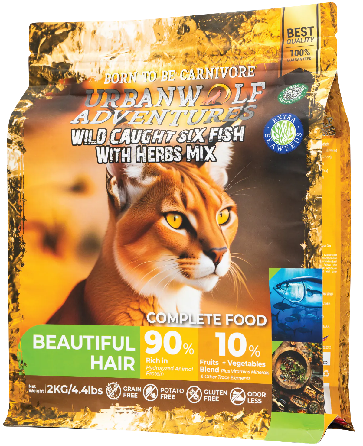 /img/cat-original/beautiful-hair/19.Beautiful Hair.webp
